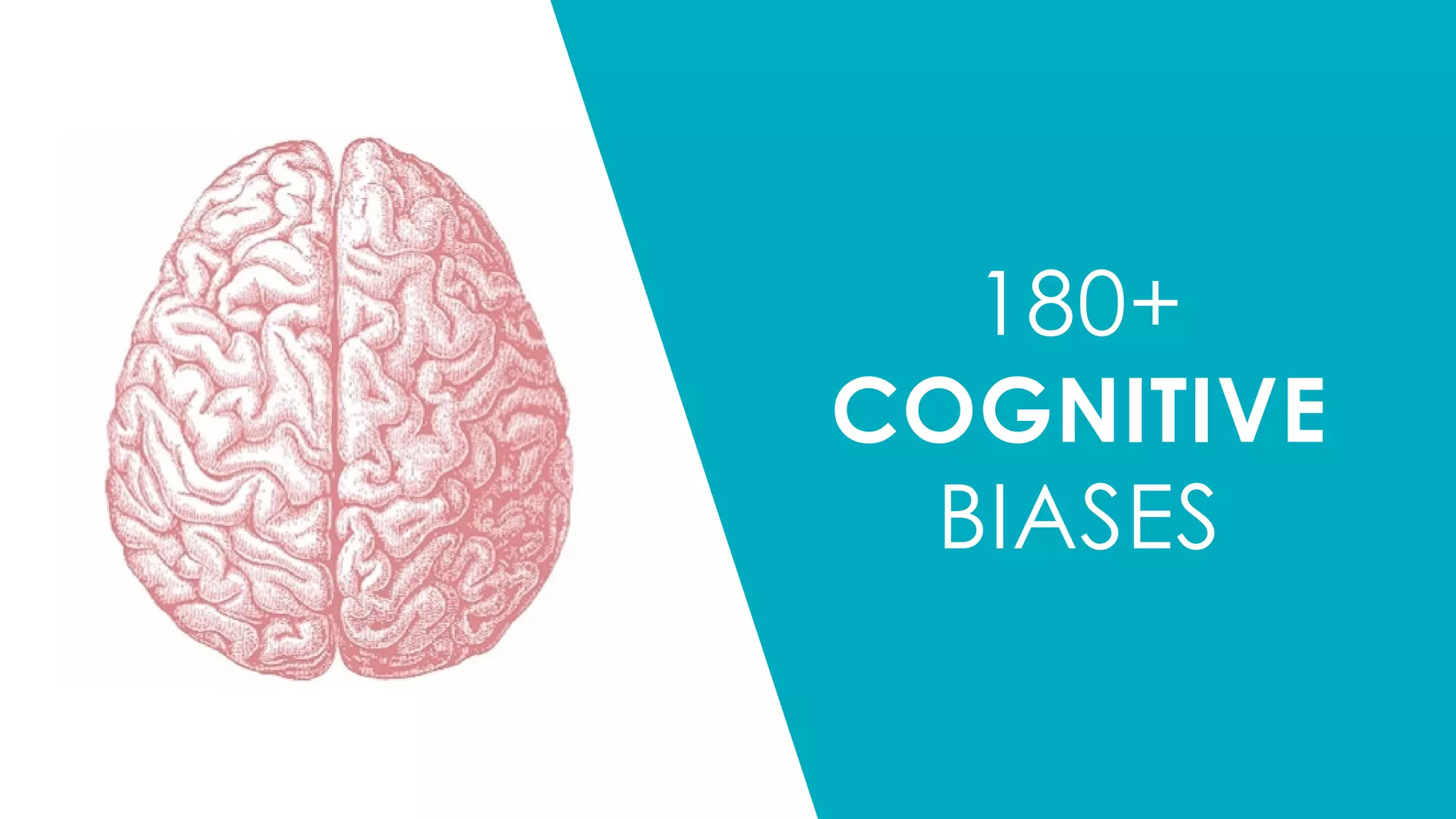 18
180+
COGNITIVE
BIASES
 