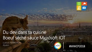 Ludovic PERRICHON
Abalon
Du dev dans ta cuisine
Boeuf séché sauce Microsoft IOT
#MWCP2018
 