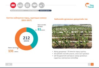 Орон нутгийн
иргэдэд
81мянга
10
Аюулгүй ажиллагаа Усны хэрэглээ Байгаль орчин
Бэлтгэн нийлүүлсэн тарьц, суулгацын хэмжээ
(2011-2017)
мянга
212
Нөхөн сэргээлтэд
131 мянга
Байгалийн ургамлын үржүүлгийн төв
• Жилд дунджаар ~70 мянган тарьц суулгац
• 30 зүйлийн нутгийн унаган, олон наст ургамал
• ШУ Академитай хамтарсан ховор ургамлын
судалгаа, хамгааллын хөтөлбөр
 