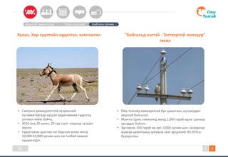 11
Аюулгүй ажиллагаа Усны хэрэглээ Байгаль орчин
• Сансрын дамжуулагчтай хүзүүвчний
тусламжтайгаар нүүдэл хөдөлгөөний судалгаа
тогтмол хийж байна.
• 2018 онд 30 хулан, 20 хар сүүлт зээрэнд хүзүүвч
зүүсэн.
• Судалгааны дүнгээр нэг бодгаль хулан жилд
10,000-63,000 орчим шоо км талбай хамран
нүүдэллэдэг.
• Оюу толгойд хамааралтай бүх цахилгаан шугамуудыг
аюулгүй болгосон.
• Монгол орны хэмжээнд жилд 1,000 гаруй идлэг шонхор
эрсэддэг байсан.
• Эдгээрээс 300 гаруй км урт, 3,000 орчим шон засварлаж
шувууд цахилгаанд цохиулж үхэх эрсдэлийг 85-92%-р
буурууллаа.
“Байгальд ээлтэй - Тогтвортой ноолуур”
төсөл
Хулан, Хар сүүлтийн судалгаа, хамгаалал
 