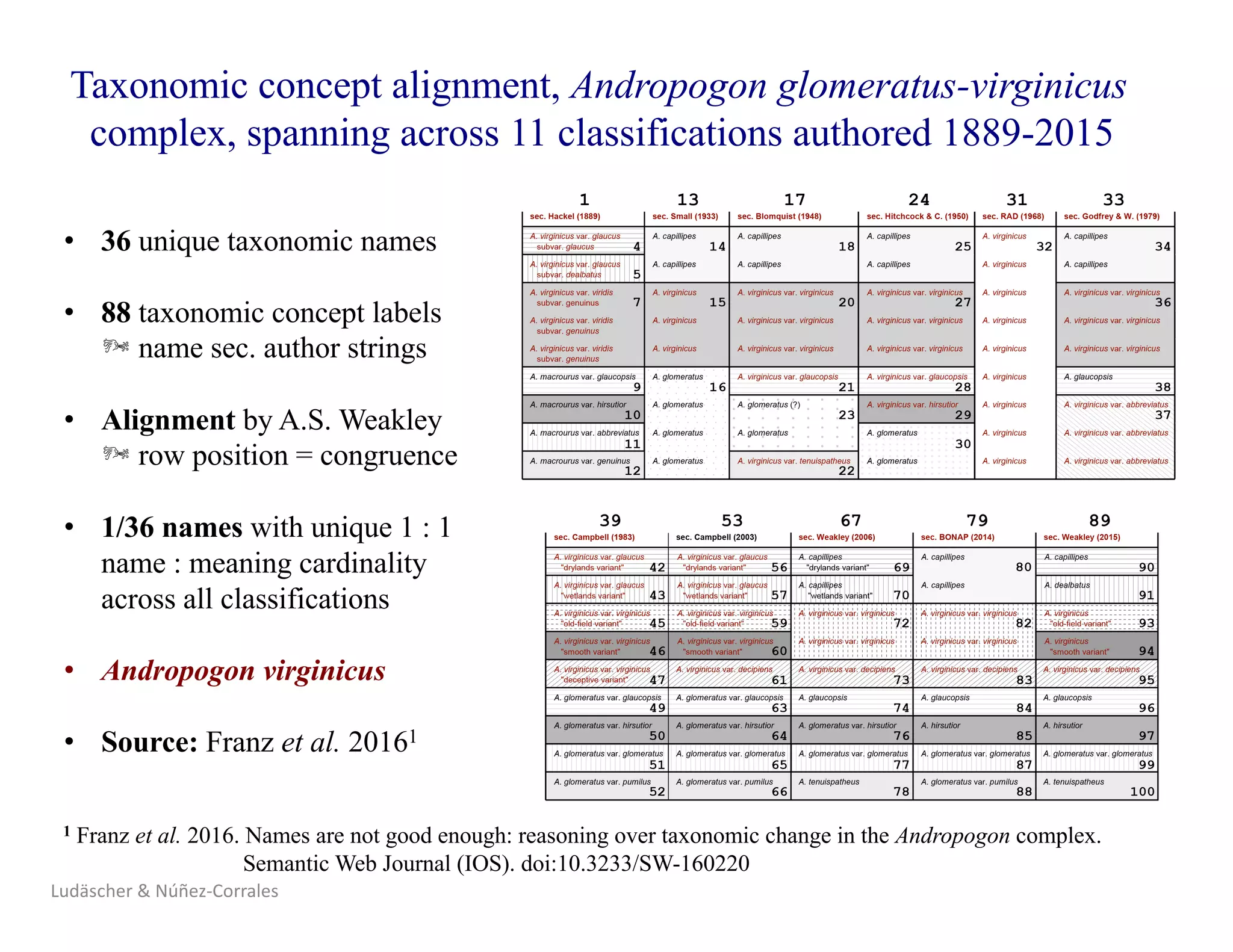 Taxonomic concept alignment, Andropogon glomeratus-virginicus
complex, spanning across 11 classifications authored 1889-2015
• 36 unique taxonomic names
• 88 taxonomic concept labels
Þ name sec. author strings
• Alignment by A.S. Weakley
Þ row position = congruence
• 1/36 names with unique 1 : 1
name : meaning cardinality
across all classifications
• Andropogon virginicus
• Source: Franz et al. 20161
1 Franz et al. 2016. Names are not good enough: reasoning over taxonomic change in the Andropogon complex.
Semantic Web Journal (IOS). doi:10.3233/SW-160220
Ludäscher	&	Núñez-Corrales
 