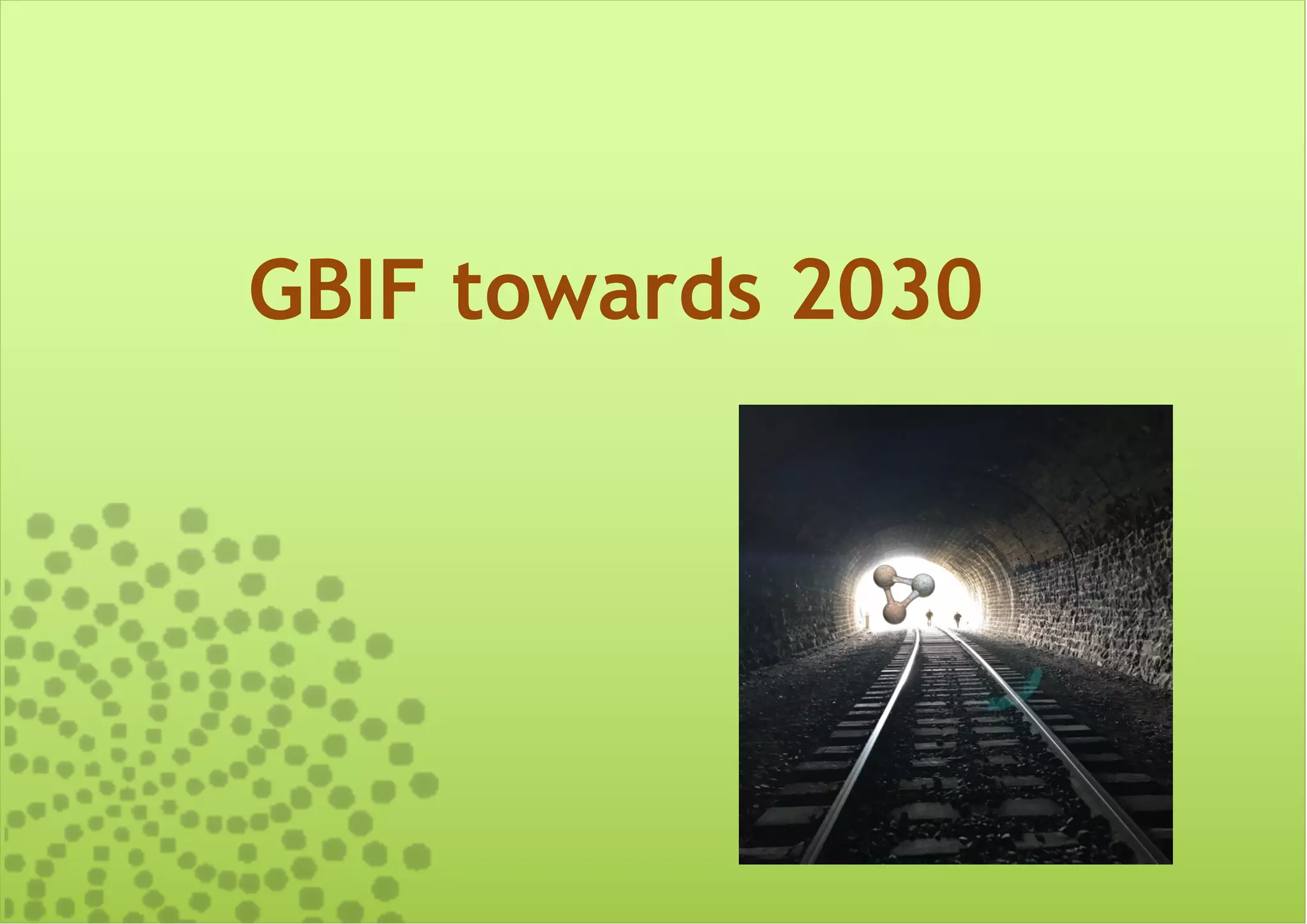 GBIF towards 2030
 