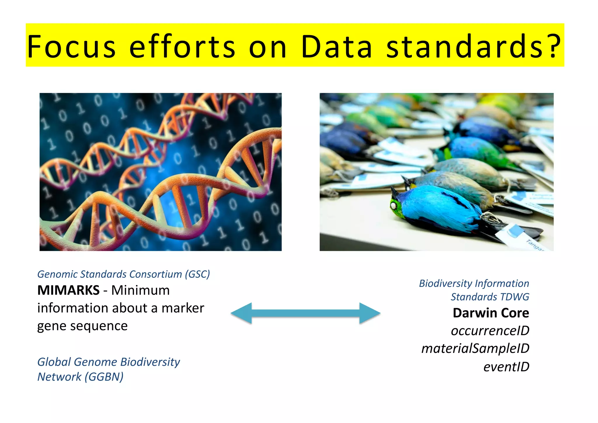 Focus efforts on Data standards?
Genomic Standards Consortium (GSC)
MIMARKS - Minimum
information about a marker
gene sequence
Biodiversity Information
Standards TDWG
Darwin Core
occurrenceID
materialSampleID
eventIDGlobal Genome Biodiversity
Network (GGBN)
 