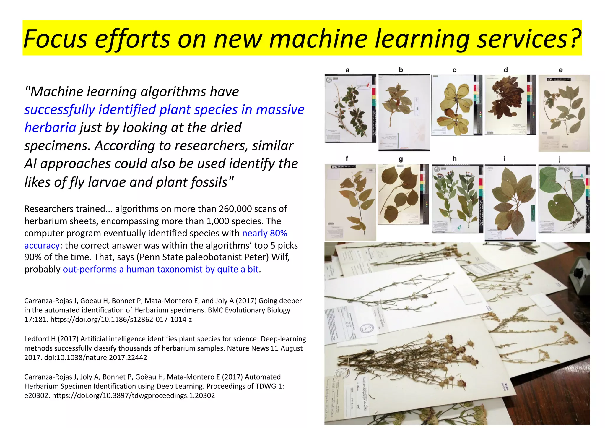 "Machine learning algorithms have
successfully identified plant species in massive
herbaria just by looking at the dried
specimens. According to researchers, similar
AI approaches could also be used identify the
likes of fly larvae and plant fossils"
Researchers trained... algorithms on more than 260,000 scans of
herbarium sheets, encompassing more than 1,000 species. The
computer program eventually identified species with nearly 80%
accuracy: the correct answer was within the algorithms’ top 5 picks
90% of the time. That, says (Penn State paleobotanist Peter) Wilf,
probably out-performs a human taxonomist by quite a bit.
Carranza-Rojas J, Goeau H, Bonnet P, Mata-Montero E, and Joly A (2017) Going deeper
in the automated identification of Herbarium specimens. BMC Evolutionary Biology
17:181. https://doi.org/10.1186/s12862-017-1014-z
Ledford H (2017) Artificial intelligence identifies plant species for science: Deep-learning
methods successfully classify thousands of herbarium samples. Nature News 11 August
2017. doi:10.1038/nature.2017.22442
Carranza-Rojas J, Joly A, Bonnet P, Goëau H, Mata-Montero E (2017) Automated
Herbarium Specimen Identification using Deep Learning. Proceedings of TDWG 1:
e20302. https://doi.org/10.3897/tdwgproceedings.1.20302
Focus efforts on new machine learning services?
 