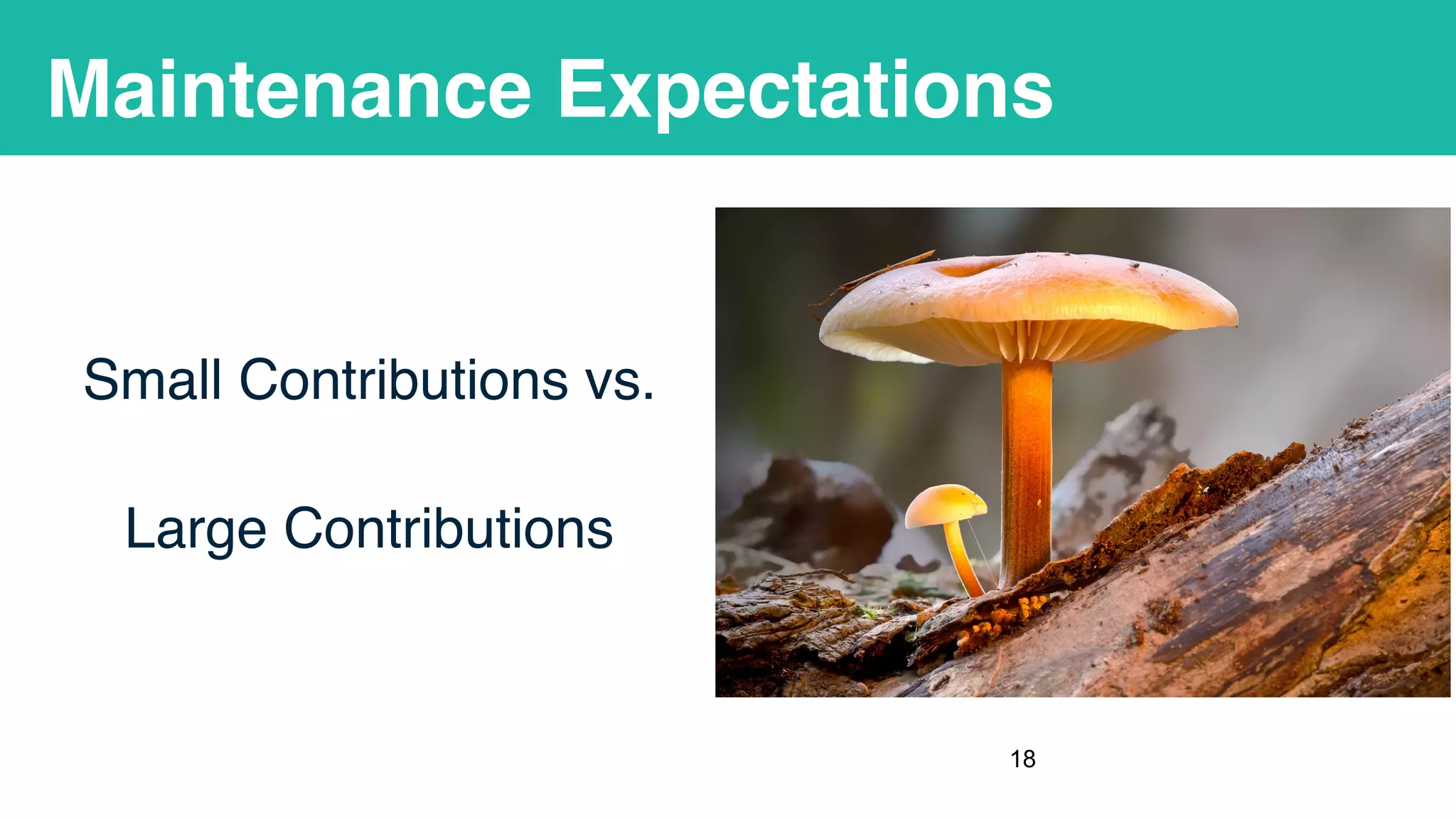 Maintenance Expectations
Small Contributions vs.
Large Contributions
!18
 