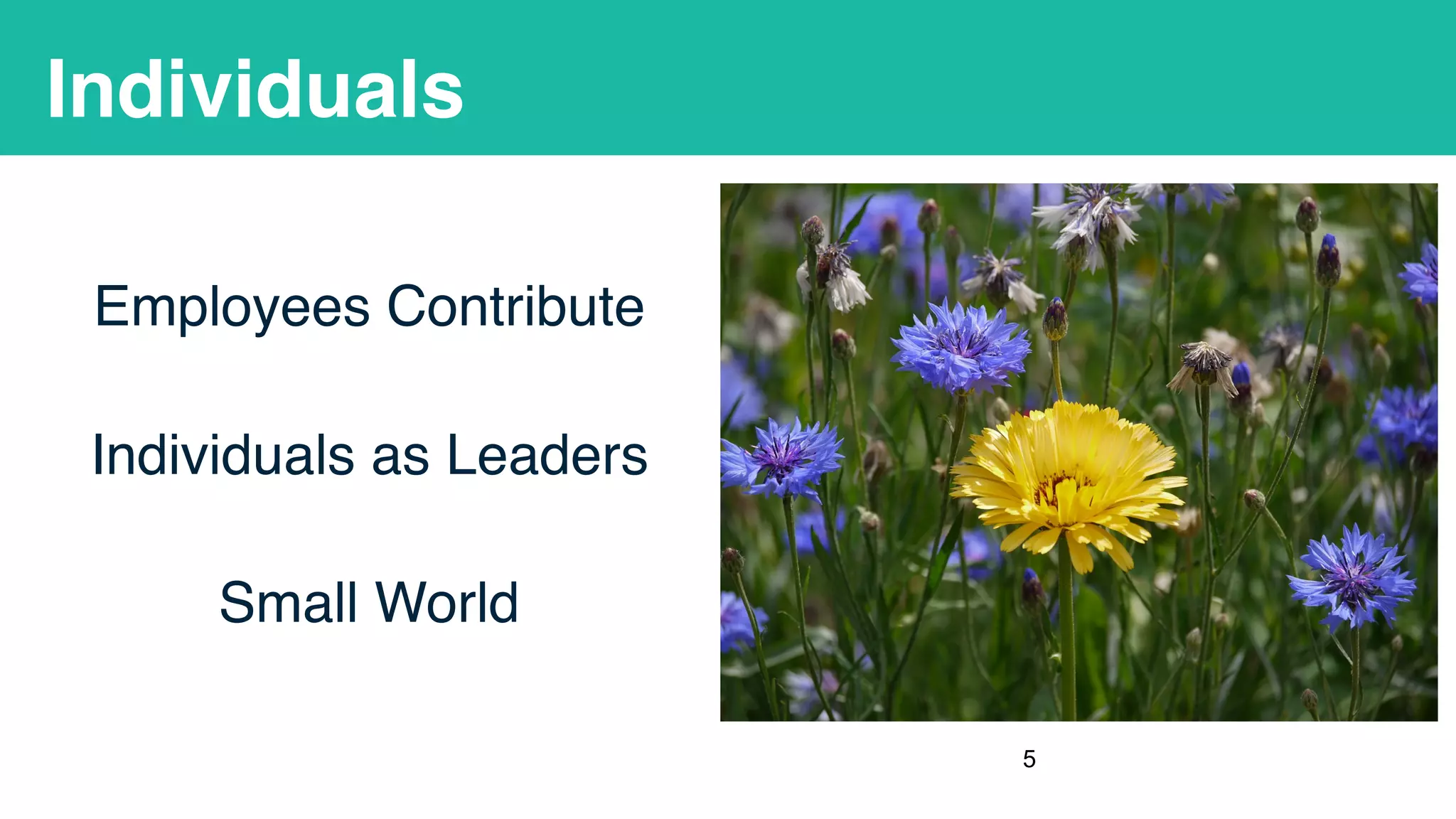 Individuals
Employees Contribute
Individuals as Leaders
Small World
!5
 