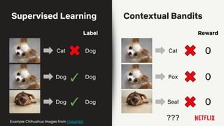 Supervised Learning Contextual Bandits
Example Chihuahua images from ImageNet
Cat Dog Cat 0
Dog ✓ Seal 0
???
Reward
Dog
Label
Dog Dog Fox 0✓
 