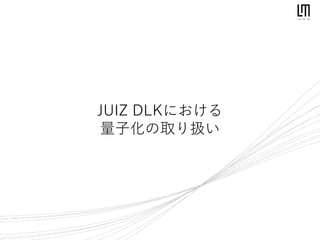 JUIZ DLKにおける
量子化の取り扱い
 