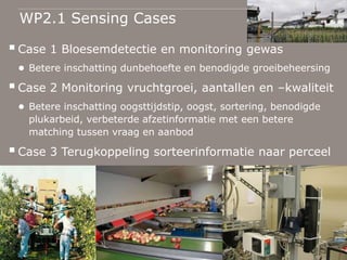 WP2.1 Sensing Cases
Case 1 Bloesemdetectie en monitoring gewas
● Betere inschatting dunbehoefte en benodigde groeibeheers...
