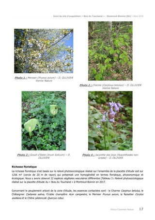 Suivi du site d’acquisition « Bois du Touchand » - Montreuil-Bonnin (86) – Mars 2018
Poitou-Charentes Nature 17
Photo 1 : Merisier (Prunus avium) – D. OLLIVIER
Vienne Nature
Photo 2 : Charme (Carpinus betulus) – D. OLLIVIER
Vienne Nature
Photo 3 : Gouet d’Italie (Arum italicum) – D.
OLLIVIER
Photo 4 : Jacynthe des bois (Hyacinthoides non-
scripta) – D. OLLIVIER
Richesse floristique
La richesse floristique s’est basée sur le relevé phytosociologique réalisé sur l’ensemble de la placette d’étude soit sur
1256 m² (cercle de 20 m de rayon) qui présentait une homogénéité en termes floristique, physionomique et
écologique. Nous y avons observé 22 espèces végétales vasculaires différentes (Tableau 3 : Relevé phytosociologique
réalisé sur la placette d’étude du « Bois du Touchand » à Montreuil-Bonnin en 2017.
Concernant le peuplement arboré de la zone d’étude, les essences contactées sont : le Charme Carpinus betulus, le
Châtaignier Castanea sativa, l’Érable champêtre Acer campestre, le Merisier Prunus avium, le Noisetier Corylus
avellana et le Chêne pédonculé Quercus robur.
 