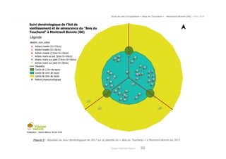 Suivi du site d’acquisition « Bois du Touchand » - Montreuil-Bonnin (86) – Mars 2018
Poitou-Charentes Nature 21
Figure 5 : Résultats du suivi dendrologique de 2017 sur la placette du « Bois du Touchand » à Montreuil-Bonnin en 2017.
 