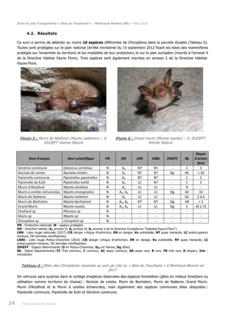 Suivi du site d’acquisition « Bois du Touchand » - Montreuil-Bonnin (86) – Mars 2018
24 Poitou-Charentes Nature
4.2. Résultats
Ce suivi a permis de détecter au moins 10 espèces différentes de Chiroptères dans la parcelle étudiée (Tableau 6).
Toutes sont protégées sur le plan national (Arrêté ministériel du 15 septembre 2012 fixant les listes des mammifères
protégés sur l'ensemble du territoire et les modalités de leur protection) et sur le plan européen (inscrits à l’annexe 4
de la Directive Habitat Faune Flore). Trois espèces sont également inscrites en annexe 2 de la Directive Habitat-
Faune-Flore.
Photo 5 : Murin de Natterer (Myotis nattereri) – S.
DUCEPT Vienne Nature
Photo 6 : Grand murin (Myotis myotis) – S. DUCEPT
Vienne Nature
Nom français Nom scientifique PN DH LRN LR86 ZNIEFF 86
Rayon
d'action
(km)
Sérotine commune Eptesicus serotinus N A4 NT NT - C 3
Noctule de Leisler Nyctalus leisleri N A4 NT NT Dg AC < 10
Pipistrelle commune Pipistrellus pipistrellus N A4 NT NT - C 2
Pipistrelle de Kuhl Pipistrellus kuhlii N A4 LC NT - C 2
Murin d'Alcathoé Myotis alcathoe N A4 LC LC - R -
Murin à oreilles échancrées Myotis emarginatus N A2, A4 LC LC Dg AC 10
Murin de Natterer Myotis nattereri N A4 LC LC - AC 2 à 6
Murin de Bechstein Myotis bechsteinii N A2, A4 NT NT Dg AR < 2
Grand Murin Myotis myotis N A2, A4 LC LC Dg C 10 à 15
Oreillard sp Plecotus sp N - - - - - -
Murin sp Myotis sp N - - - - - -
Chiroptère sp chiroptera sp N - - - - - -
PN : Protection nationale (N : espèce protégée)
DH : Directive habitat (A2 annexe II, A4 annexe IV, A5 annexe V de la Directive Européenne "Habitats-Faune-Flore")
LRN : Liste rouge nationale (2017) (CR danger critique d'extinction, EN en danger, Vu vulnérable, NT quasi menacée, LC préoccupation
mineure, DD données insuffisantes)
LR86 : Liste rouge Poitou-Charentes (2016) (CR danger critique d'extinction, EN en danger, Vu vulnérable, NT quasi menacée, LC
préoccupation mineure, DD données insuffisantes)
ZNIEFF : Espèce déterminante (D en Poitou-Charentes, D86 en Vienne, Dg Gîtes)
86 : Statut départemental (TC Très commun, C commun, AC assez commun, AR assez rare, R rare, TR très rare, D disparu, Intr :
Introduite)
Tableau 6 : Bilan des Chiroptères recensés au sein du site du « Bois du Touchand » à Montreuil-Bonnin en
2017.
On retrouve sans surprise dans le cortège d’espèces observées des espèces forestières (gîtes en milieux forestiers ou
utilisation comme territoire de chasse) : Noctule de Leisler, Murin de Bechstein, Murin de Natterer, Grand Murin,
Murin d’Alcathoé et le Murin à oreilles échancrées, mais également des espèces communes dites ubiquistes :
Pipistrelle commune, Pipistrelle de Kuhl et Sérotine commune.
 