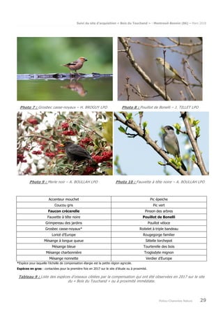 Suivi du site d’acquisition « Bois du Touchand » - Montreuil-Bonnin (86) – Mars 2018
Poitou-Charentes Nature 29
Photo 7 : Grosbec casse-noyaux – H. BROGUY LPO Photo 8 : Pouillot de Bonelli – J. TILLET LPO
Photo 9 : Merle noir – A. BOULLAH LPO Photo 10 : Fauvette à tête noire – A. BOULLAH LPO
Accenteur mouchet Pic épeiche
Coucou gris Pic vert
Faucon crécerelle Pinson des arbres
Fauvette à tête noire Pouillot de Bonelli
Grimpereau des jardins Pouillot véloce
Grosbec casse-noyaux* Roitelet à triple bandeau
Loriot d’Europe Rougegorge familier
Mésange à longue queue Sittelle torchepot
Mésange bleue Tourterelle des bois
Mésange charbonnière Troglodyte mignon
Mésange nonnette Verdier d’Europe
*Espèce pour laquelle l’échelle de compensation élargie est la petite région agricole.
Espèces en gras : contactées pour la première fois en 2017 sur le site d’étude ou à proximité.
Tableau 9 : Liste des espèces d’oiseaux ciblées par la compensation qui ont été observées en 2017 sur le site
du « Bois du Touchand » ou à proximité immédiate.
 
