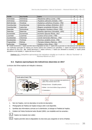 Suivi du site d’acquisition « Bois du Touchand » - Montreuil-Bonnin (86) – Mars 2018
Poitou-Charentes Nature 35
Famille Sous-Famille Espèce If Ip
Anthribidae Anthribinae Platystomos albinus (Linné, 1758) 2 2
Anthribidae Anthribinae Tropideres albirostris (Schaller, 1783) 2 2
Bothrideridae Teredinae Oxylaemus cylindricus (Creutzer, 1796) 3 2
Cerambycidae Cerambycinae Xylotrechus antilope (Schönherr, 1817) 1 2
Cerambycidae Lepturinae Rhagium sycophanta (Schrank, 1781) 1 1
Elateridae Denticollinae Stenagostus rhombeus (Olivier, 1790) 2 2
Elateridae Elaterinae Ampedus nigerrimus (Lacordaire, 1835) 2 2
Eucnemidae Eucneminae Eucnemis capucina Ahrens, 1812 2 3
Lucanidae Lucaninae Lucanus cervus (Linné, 1758) 2 2
Scarabaeidae Cetoniinae Liocola marmorata (Fabricius, 1792) 2 2
Scarabaeidae Trichiinae Gnorimus variabilis (Linné, 1758) 2 2
Trogossitidae Peltinae Thymalus limbatus (Fabricius, 1787) 3 2
Zopheridae Colydiinae Colobicus hirtus (Rossi, 1790) 2 3
If : Intérêt fonctionnel (1 : espèce pionnière dans la dégradation du bois, 2 : espèce liée au gros bois ou à des essences rares demandant
une modification particulière du matériau par d’autres espèces et/ou prédatrice peu spécialisée, 3 : espèce très exigeantes dépendante
des espèces If1 et/ou If2) – Ip : Intérêt patrimonial (1 : espèce commune, 2 : espèce peu abondante ou localisée, 3 : espèce jamais
abondante ou très localisée, 4 : espèce très rare en France).
Tableau 12 : Coléoptères saproxyliques bio-indicateurs récoltés sur le site du « Bois du Touchand » à
Montreuil-Bonnin en 2017.
6.3. Espèces saproxyliques bio-indicatrices observées en 2017
La lecture des fiches espèces est indiquée ci-dessous.
1. Nom de l'espèce, nom du descripteur et année de description.
2. Photographie de l'habitus de l'espèce lorsque celle-ci est disponible.
3. Synthèse des informations connues sur la distribution, la biologie et l'habitat de l'espèce.
4. Cotation de l'indice fonctionnel selon Brustel (2004). Les modalités sont les suivantes :
: Espèce non évaluée (non cotée)
: Espèce pionnière dans la dégradation du bois et/ou peu exigeante en terme d’habitat.
 