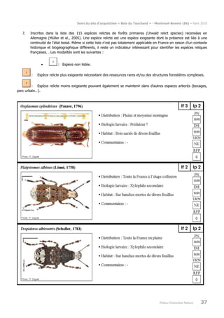 Suivi du site d’acquisition « Bois du Touchand » - Montreuil-Bonnin (86) – Mars 2018
Poitou-Charentes Nature 37
7. Inscrites dans la liste des 115 espèces relictes de forêts primaires (Urwald relict species) recensées en
Allemagne (Müller et al., 2005). Une espèce relicte est une espèce exigeante dont la présence est liée à une
continuité de l'état boisé. Même si cette liste n'est pas totalement applicable en France en raison d'un contexte
historique et biogéographique différents, il reste un indicateur intéressant pour identifier les espèces reliques
françaises. . Les modalités sont les suivantes :
• : Espèce non listée.
: Espèce relicte plus exigeante nécessitant des ressources rares et/ou des structures forestières complexes.
: Espèce relicte moins exigeante pouvant également se maintenir dans d'autres espaces arborés (bocages,
parc urbain…).
 