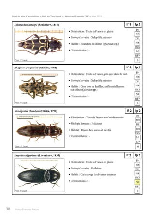 Suivi du site d’acquisition « Bois du Touchand » - Montreuil-Bonnin (86) – Mars 2018
38 Poitou-Charentes Nature
 