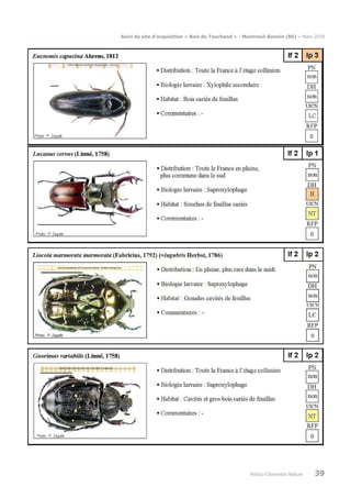 Suivi du site d’acquisition « Bois du Touchand » - Montreuil-Bonnin (86) – Mars 2018
Poitou-Charentes Nature 39
 