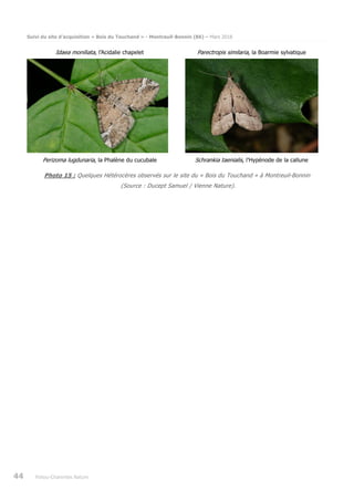 Suivi du site d’acquisition « Bois du Touchand » - Montreuil-Bonnin (86) – Mars 2018
44 Poitou-Charentes Nature
Idaea moniliata, l’Acidalie chapelet Parectropis similaria, la Boarmie sylvatique
Perizoma lugdunaria, la Phalène du cucubale Schrankia taenialis, l’Hypénode de la callune
Photo 15 : Quelques Hétérocères observés sur le site du « Bois du Touchand » à Montreuil-Bonnin
(Source : Ducept Samuel / Vienne Nature).
 