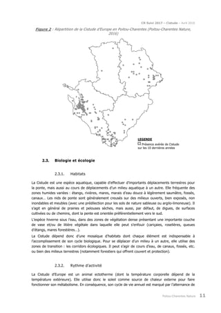 CR Suivi 2017 – Cistude – Avril 2018
Poitou-Charentes Nature 11
Figure 2 : Répartition de la Cistude d’Europe en Poitou-Charentes (Poitou-Charentes Nature,
2016)
2.3. Biologie et écologie
2.3.1. Habitats
La Cistude est une espèce aquatique, capable d’effectuer d’importants déplacements terrestres pour
la ponte, mais aussi au cours de déplacements d’un milieu aquatique à un autre. Elle fréquente des
zones humides variées : étangs, rivières, mares, marais d’eau douce à légèrement saumâtre, fossés,
canaux… Les nids de ponte sont généralement creusés sur des milieux ouverts, bien exposés, non
inondables et meubles (avec une prédilection pour les sols de nature sableuse ou argilo-limoneuse). Il
s’agit en général de prairies et pelouses sèches, mais aussi, par défaut, de digues, de surfaces
cultivées ou de chemins, dont la pente est orientée préférentiellement vers le sud.
L’espèce hiverne sous l’eau, dans des zones de végétation dense présentant une importante couche
de vase et/ou de litière végétale dans laquelle elle peut s’enfouir (cariçaies, roselières, queues
d’étangs, mares forestières…).
La Cistude dépend donc d’une mosaïque d’habitats dont chaque élément est indispensable à
l’accomplissement de son cycle biologique. Pour se déplacer d’un milieu à un autre, elle utilise des
zones de transition : les corridors écologiques. Il peut s’agir de cours d’eau, de canaux, fossés, etc.
ou bien des milieux terrestres (notamment forestiers qui offrent couvert et protection).
2.3.2. Rythme d’activité
La Cistude d’Europe est un animal ectotherme (dont la température corporelle dépend de la
température extérieure). Elle utilise donc le soleil comme source de chaleur externe pour faire
fonctionner son métabolisme. En conséquence, son cycle de vie annuel est marqué par l’alternance de
LEGENDE
Présence avérée de Cistude
sur les 10 dernières années
 