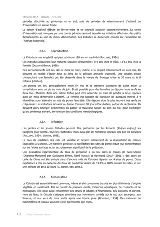 CR Suivi 2017 – Cistude – Avril 2018
12 Poitou-Charentes Nature
périodes d’activité au printemps et en été, puis de périodes de ralentissement d’activité ou
d’hivernation en saison froide.
La saison d’activité débute en février-mars et se poursuit jusqu’en octobre-novembre. La sortie
d’hivernation est marquée par une courte période pendant laquelle les individus effectuent des petits
déplacements au sein du milieu d’hivernation. Les Cistudes se dispersent ensuite sur l’ensemble de
l’habitat disponible.
2.3.3. Reproduction
La Cistude a une longévité qui peut atteindre 120 ans en captivité (ROLLINAT, 1934).
Les individus acquièrent leur maturité sexuelle tardivement : 8-9 ans chez le mâle, 11-12 ans chez la
femelle (DUGUY et BARON, 1998).
Des accouplements ont lieu dès le mois de mars, même si la plupart interviennent en avril-mai. Ils
peuvent en réalité s’étaler tout au long de la période annuelle d’activité. Des couples (mâle
chevauchant une femelle) ont été observés dans le Marais de Brouage entre le 30 mars et le 8
octobre (Ibidem).
Les pontes ont lieu principalement entre fin mai et la première quinzaine de juillet selon la
température avec un pic au mois de juin. Il est possible pour des femelles de déposer leurs œufs en
deux fois (Ibidem). Ainsi une même tortue peut être observée en train de pondre à deux reprises
avec un mois d’intervalle (Ibidem). La femelle est capable de parcourir de quelques mètres à 4
kilomètres pour atteindre un site de ponte favorable. Elle dépose alors le plus souvent ses œufs au
crépuscule. Les cistudons éclosent au terme d’environ 90 jours d’incubation, autour de septembre. Ils
peuvent alors émerger directement ou passer la mauvaise saison au sein du nid, pour n’émerger
qu’au printemps suivant, en fonction des conditions météorologiques.
2.3.4. Prédation
Les pontes et les jeunes Cistudes peuvent être prédatées par les Renards (Vulpes vulpes), les
Sangliers (Sus scrofa), tous les Mustélidés, mais aussi par de nombreux oiseaux tels que les Corvidés
(ROLLINAT, 1934 ; SERVAN, 1988).
Le taux de prédation des nids est variable et dépend intimement de la disponibilité de milieux
favorables à la ponte. De manière générale, la raréfaction des sites de ponte induit leur concentration
sur de faibles surfaces et un accroissement significatif de la prédation.
Une évaluation expérimentale du taux de prédation a eu lieu dans le marais de Saint-Sornin
(Charente-Maritime) par Guillaume BARON, René ROSOUX et Raymond DUGUY (2001) : des œufs de
caille de Chine ont été enfouis dans d’anciens nids de Cistudes répartis sur 4 sites de ponte. Cette
expérience a mis en évidence des taux de prédation variant de 33.3% à 100% suivant les sites, et sur
une période de 10 à 20 jours (G. Baron, obs. pers.).
2.3.5. Alimentation
La Cistude est essentiellement carnivore, même si elle consomme de plus en plus d’aliments d’origine
végétale en vieillissant. Elle se nourrit de poissons morts, d’insectes aquatiques, de crustacés et de
mollusques. Elle peut aussi consommer des larves et adultes d’Amphibiens, des poissons et alevins.
Hors de l’eau, la Cistude s’attaque volontiers aux hannetons tombés sur le sol, aux escargots, aux
limaces, et aux vers de terre sortis après une bonne pluie (ROLLINAT, 1934). Des cadavres de
mammifères et oiseaux peuvent venir agrémenter son menu.
 