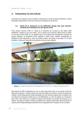 CR Suivi 2017 – Cistude – Avril 2018
14 Poitou-Charentes Nature
3. Présentation du site d’étude
Les étangs de la Goujonne et de la Clinette se situent dans le sud de la Charente-Maritime, en Haute
Saintonge, respectivement à l’est des communes de Montguyon et de Neuvicq.
3.1. Etang de la Goujonne et les différents étangs des sous bassins-
versants de la Goujonne et des Quatre Puits
D’une surface d’environ 5 000 m², l’étang de la Goujonne est connecté au site Natura 2000
FR5402010 « Vallées du Lary et du Palais » par le ruisseau de la Goujonne, affluent direct du Palais
en eau toute l’année (Photo 5). Les habitats autour de cet étang sont principalement composés de
prairies sableuses, de boisements (forêt acidiphile à Chêne tauzin, Aulnaies marécageuses et
plantation de Pins maritimes) et, dans une moindre mesure, de cultures et de vignes sur du petit
parcellaire. L’étang est fréquenté par des pêcheurs de façon assez régulière.
Photo 4 : Etang de la Goujonne photographié le 15 mai 2014 – Nature Environnement 17
Des sessions de CMR ont également eu lieu sur deux autres plans d’eau du sous bassin versant de
l’étang de la Goujonne : l’étang du Barail et la mare des Vallées. Ces derniers, proches du bassin de la
Clinette, ont été fréquentés les années précédentes par des individus capturés pour la première fois
sur l’étang de la Goujonne (constat issu du suivi télémétrique). Le choix de capturer sur cet étang et
cette mare a été motivé par la volonté de capturer des individus qui auraient été marqués sur la
Clinette. La présence conjointe d’individus originaires des 2 étangs auraient alors permis de mettre en
évidence des échanges génétiques potentiels entre les populations de la Goujonne et de la Clinette.
 