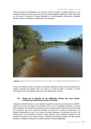 CR Suivi 2017 – Cistude – Avril 2018
Poitou-Charentes Nature 15
L’étang du Barail est probablement une ancienne carrière de sable ou d’argile kaolinique. Il est
composé de berges en pente douce avec des communautés végétales amphibies. La taille importante
de cet étang et l’existence de berges favorables à la thermorégulation difficilement accessibles
rendent la capture compliquée et certainement non exhaustive.
Photo 5 : Etang du barail photographié le 12 avril 2017 – M. LAVOUE Nature Environnement 17
La mare des Vallées est située en bordure d’une prairie mésophile de fauche, elle est alimentée par le
ruisseau temporaire des Quatre Puits, qui trouve là sa tête de bassin. La capture a dû être
interrompue à la fin du printemps, alors que la mare était presque en assec.
3.2. Etang de la Clinette et les différents étangs des sous bassin-
versants du Chateauroux et de la Clinette
L’étang de la Clinette est situé sur une exploitation agricole et couvre une surface d’environ 11000m².
L’activité de la ferme est basée sur la production d’ovins et sur l’exploitation forestière. Au sein de
cette exploitation sont présents de nombreuses mares et étangs servant d’abreuvoirs. Comme l’étang
de la Goujonne, celui de la Clinette est connecté au Palais par le ruisseau de Chateauroux, qui
s’assèche partiellement en été. Il est entouré de prairies sableuses, de boisements de pins et de
Chênes tauzin, et de boisements humides à Aulne glutineux. Cette mosaïque d’habitats est très
favorable à la présence de la Cistude d’Europe. L’étang de la Clinette est encaissé entre des parcelles
prairiales. Les berges de l’étang sont en pentes douces, et très peu végétalisées.
 