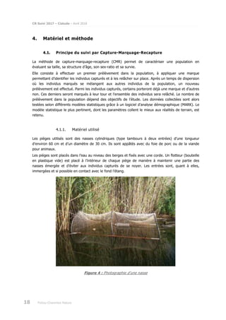 CR Suivi 2017 – Cistude – Avril 2018
18 Poitou-Charentes Nature
4. Matériel et méthode
4.1. Principe du suivi par Capture-Marquage-Recapture
La méthode de capture-marquage-recapture (CMR) permet de caractériser une population en
évaluant sa taille, sa structure d’âge, son sex-ratio et sa survie.
Elle consiste à effectuer un premier prélèvement dans la population, à appliquer une marque
permettant d’identifier les individus capturés et à les relâcher sur place. Après un temps de dispersion
où les individus marqués se mélangent aux autres individus de la population, un nouveau
prélèvement est effectué. Parmi les individus capturés, certains porteront déjà une marque et d’autres
non. Ces derniers seront marqués à leur tour et l’ensemble des individus sera relâché. Le nombre de
prélèvement dans la population dépend des objectifs de l’étude. Les données collectées sont alors
testées selon différents modèles statistiques grâce à un logiciel d’analyse démographique (MARK). Le
modèle statistique le plus pertinent, dont les paramètres collent le mieux aux réalités de terrain, est
retenu.
4.1.1. Matériel utilisé
Les pièges utilisés sont des nasses cylindriques (type tambours à deux entrées) d’une longueur
d’environ 60 cm et d’un diamètre de 30 cm. Ils sont appâtés avec du foie de porc ou de la viande
pour animaux.
Les pièges sont placés dans l’eau au niveau des berges et fixés avec une corde. Un flotteur (bouteille
en plastique vide) est placé à l’intérieur de chaque piège de manière à maintenir une partie des
nasses émergée et d’éviter aux individus capturés de se noyer. Les entrées sont, quant à elles,
immergées et si possible en contact avec le fond l’étang.
Figure 4 : Photographie d’une nasse
 