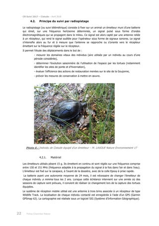 CR Suivi 2017 – Cistude – Avril 2018
22 Poitou-Charentes Nature
4.2. Principe du suivi par radiopistage
Le radiopistage (ou suivi télémétrique) consiste à fixer sur un animal un émetteur muni d’une batterie
qui émet, sur une fréquence hertzienne déterminée, un signal pulsé sous forme d’ondes
électromagnétiques qui se propagent dans le milieu. Ce signal est alors capté par une antenne reliée
à un récepteur, qui rend le signal audible pour l’opérateur sous forme de signaux sonores. Le signal
s’intensifie alors au fur et à mesure que l’antenne se rapproche ou s’oriente vers le récepteur
émettant sur la fréquence réglée sur le récepteur.
Il permet l’étude des déplacements dans le but de :
- mesurer les domaines vitaux des individus (aire utilisée par un individu au cours d’une
période considérée),
- déterminer l’évolution saisonnière de l’utilisation de l’espace par les tortues (notamment
identifier les sites de ponte et d’hivernation),
- évaluer l’efficience des actions de restauration menées sur le site de la Goujonne,
- prévoir les mesures de conservation à mettre en œuvre.
Photo 6 : Individu de Cistude équipé d’un émetteur – M. LAVOUE Nature Environnement 17
4.2.1. Matériel
Les émetteurs utilisés pèsent 15 g. Ils émettent en continu et sont réglés sur une fréquence comprise
entre 150 et 151 MHz (fréquence adaptée à la propagation du signal à la fois dans l’air et dans l’eau).
L’émetteur est fixé sur la carapace, à l’avant de la dossière, avec de la colle Epoxy à prise rapide.
La batterie ayant une autonomie moyenne de 24 mois, il est nécessaire de changer l’émetteur de
chaque individu a minima tous les 2 ans. Lorsque cette échéance intervient sur une année où des
sessions de capture sont prévues, il convient de réaliser ce changement lors de la capture des tortues
équipées.
Le système de réception mobile utilisé est une antenne à trois brins associée à un récepteur de type
Wildlife Track. La localisation de chaque individu contacté est enregistrée à l’aide d’un GPS (Garmin
GPSmap 62). La cartographie est réalisée sous un logiciel SIG (Système d’Information Géographique).
 