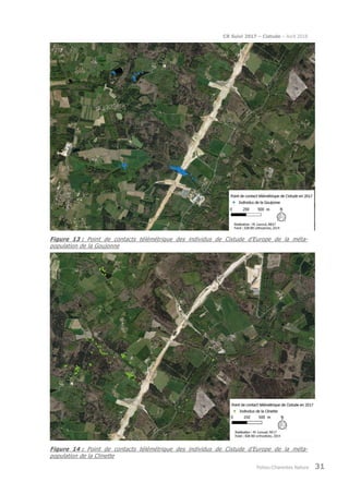 CR Suivi 2017 – Cistude – Avril 2018
Poitou-Charentes Nature 31
Figure 13 : Point de contacts télémétrique des individus de Cistude d’Europe de la méta-
population de la Goujonne
Figure 14 : Point de contacts télémétrique des individus de Cistude d’Europe de la méta-
population de la Clinette
 
