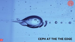 45 CEPH AT THE THE EDGE
 