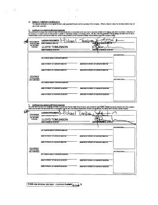 Marigold Projects Annual Return (7/21/2018)