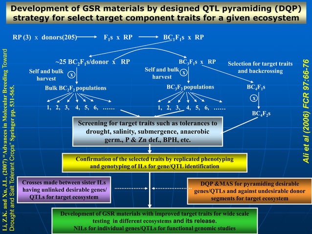 2018. jauhar ali. green super rice breeding technology achievements and ...