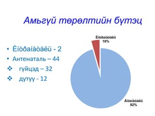 Амьгүй төрөлтийн бүтэц
• Èíòðаíàòàëü - 2
• Антенаталь – 44
 гүйцэд – 32
 дутуу - 12
Àíòеíàòàëü
82%
Èíòðаíàòàëü
18%
 