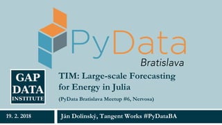 TIM: Large-scale Forecasting
for Energy in Julia
Ján Dolinský, Tangent Works #PyDataBA19. 2. 2018
(PyData Bratislava Meetup #6, Nervosa)
 