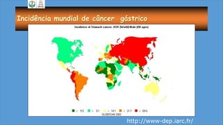 Incidência mundial de câncer gástrico
http://www-dep.iarc.fr/
 