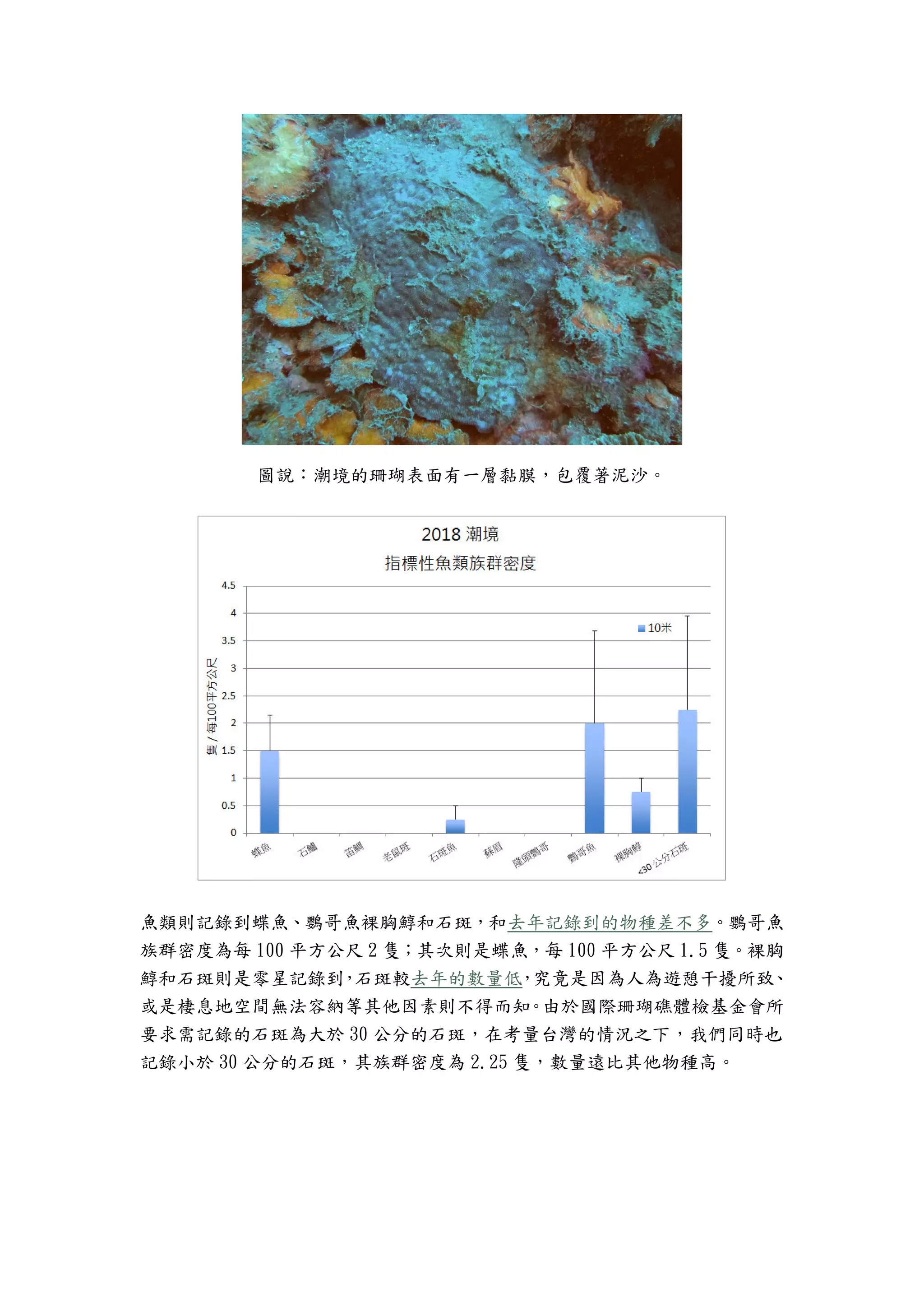 圖說：潮境的珊瑚表面有一層黏膜，包覆著泥沙。
魚類則記錄到蝶魚、鸚哥魚裸胸鯙和石斑，和去年記錄到的物種差不多。鸚哥魚
族群密度為每 100 平方公尺 2 隻；其次則是蝶魚，每 100 平方公尺 1.5 隻。裸胸
鯙和石斑則是零星記錄到，石斑較去年的數量低，究竟是因為人為遊憩干擾所致、
或是棲息地空間無法容納等其他因素則不得而知。由於國際珊瑚礁體檢基金會所
要求需記錄的石斑為大於 30 公分的石斑，在考量台灣的情況之下，我們同時也
記錄小於 30 公分的石斑，其族群密度為 2.25 隻，數量遠比其他物種高。
 