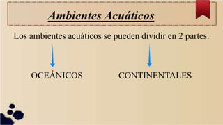 Ambientes Acuáticos
Los ambientes acuáticos se pueden dividir en 2 partes:
OCEÁNICOS CONTINENTALES
 
