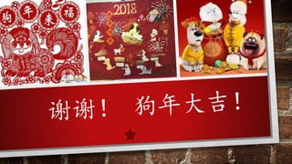 Spring Festival Introduction 