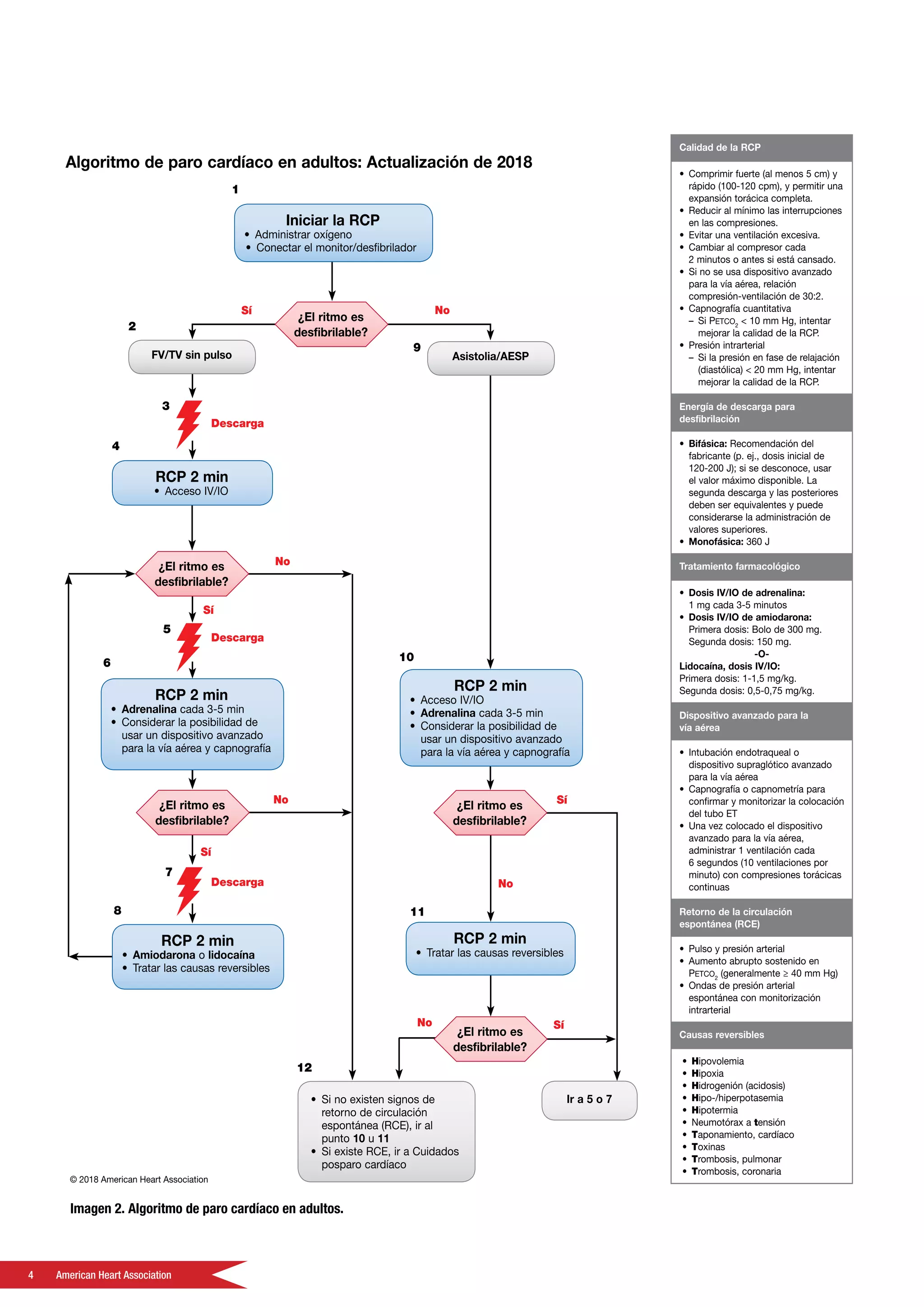 4	 American Heart Association
Imagen 2. Algoritmo de paro cardíaco en adultos.
 