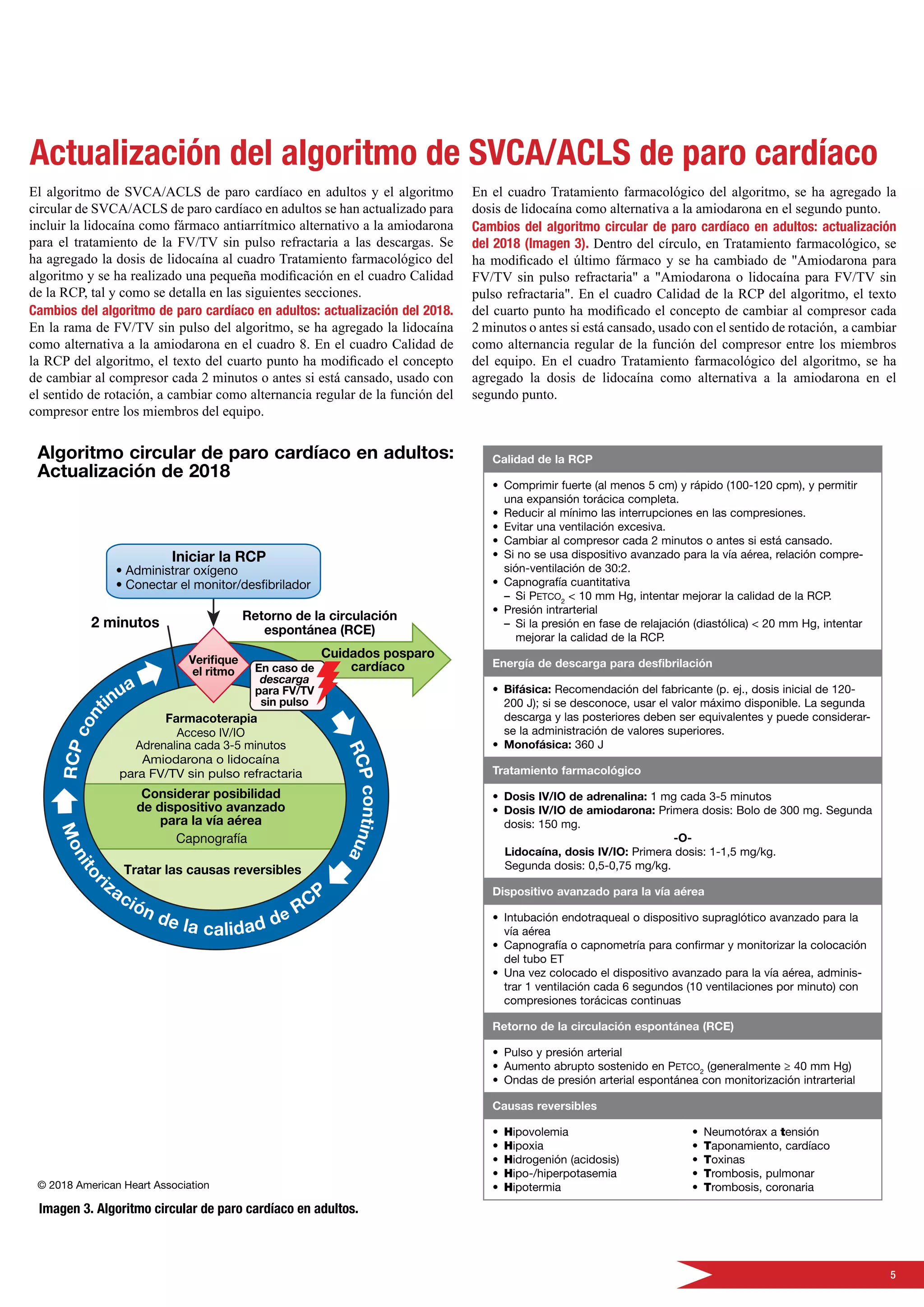 5
Actualización del algoritmo de SVCA/ACLS de paro cardíaco
El algoritmo de SVCA/ACLS de paro cardíaco en adultos y el algoritmo
circular de SVCA/ACLS de paro cardíaco en adultos se han actualizado para
incluir la lidocaína como fármaco antiarrítmico alternativo a la amiodarona
para el tratamiento de la FV/TV sin pulso refractaria a las descargas. Se
ha agregado la dosis de lidocaína al cuadro Tratamiento farmacológico del
algoritmo y se ha realizado una pequeña modificación en el cuadro Calidad
de la RCP, tal y como se detalla en las siguientes secciones.
Cambios del algoritmo de paro cardíaco en adultos: actualización del 2018.
En la rama de FV/TV sin pulso del algoritmo, se ha agregado la lidocaína
como alternativa a la amiodarona en el cuadro 8. En el cuadro Calidad de
la RCP del algoritmo, el texto del cuarto punto ha modificado el concepto
de cambiar al compresor cada 2 minutos o antes si está cansado, usado con
el sentido de rotación, a cambiar como alternancia regular de la función del
compresor entre los miembros del equipo.
En el cuadro Tratamiento farmacológico del algoritmo, se ha agregado la
dosis de lidocaína como alternativa a la amiodarona en el segundo punto.
Cambios del algoritmo circular de paro cardíaco en adultos: actualización
del 2018 (Imagen 3). Dentro del círculo, en Tratamiento farmacológico, se
ha modificado el último fármaco y se ha cambiado de Amiodarona para
FV/TV sin pulso refractaria a Amiodarona o lidocaína para FV/TV sin
pulso refractaria. En el cuadro Calidad de la RCP del algoritmo, el texto
del cuarto punto ha modificado el concepto de cambiar al compresor cada
2 minutos o antes si está cansado, usado con el sentido de rotación, a cambiar
como alternancia regular de la función del compresor entre los miembros
del equipo. En el cuadro Tratamiento farmacológico del algoritmo, se ha
agregado la dosis de lidocaína como alternativa a la amiodarona en el
segundo punto.
Imagen 3. Algoritmo circular de paro cardíaco en adultos.
 