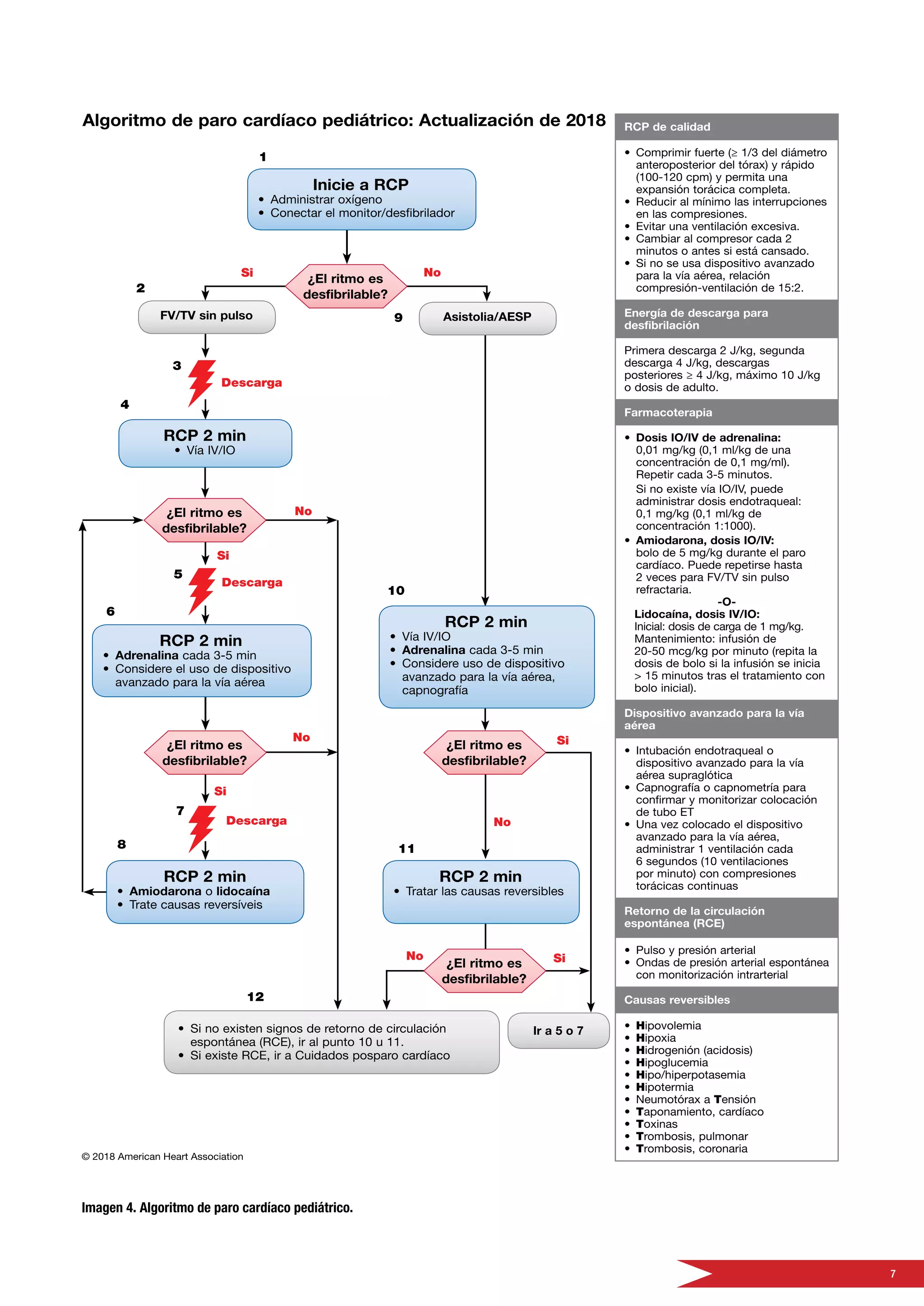 7
Imagen 4. Algoritmo de paro cardíaco pediátrico.
 