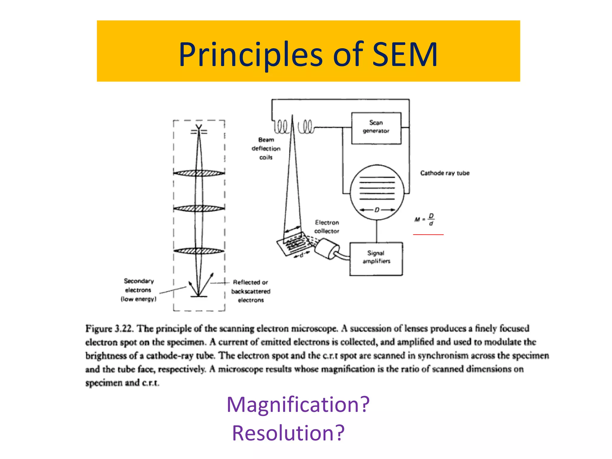 Principles of SEM
Magnification?
Resolution?
 