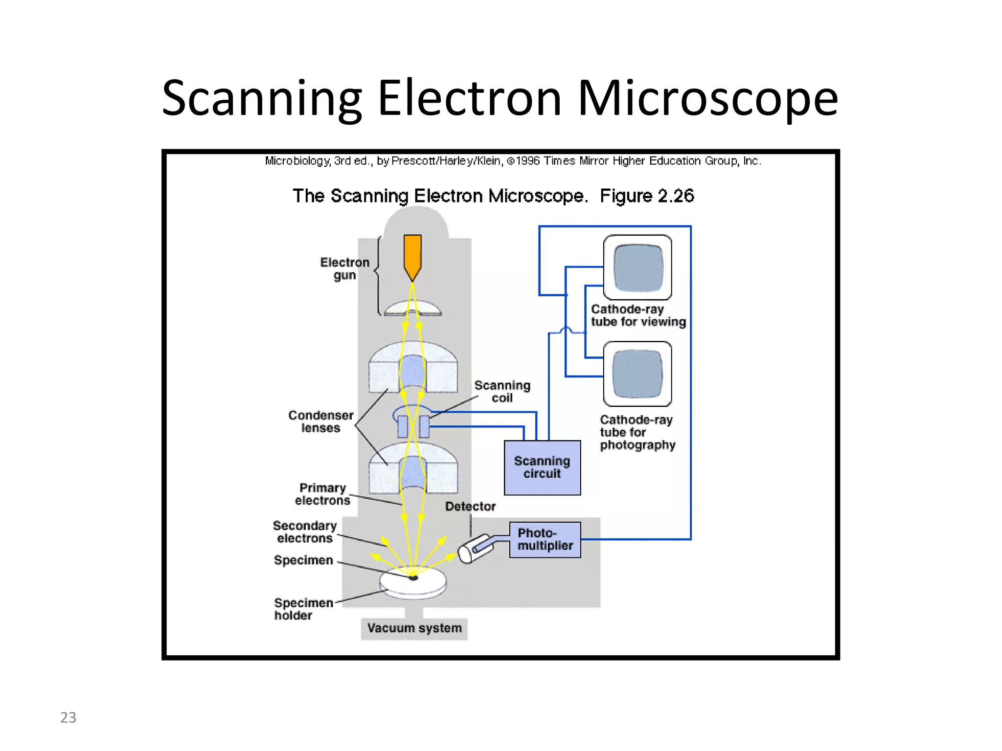23
Scanning Electron Microscope
 