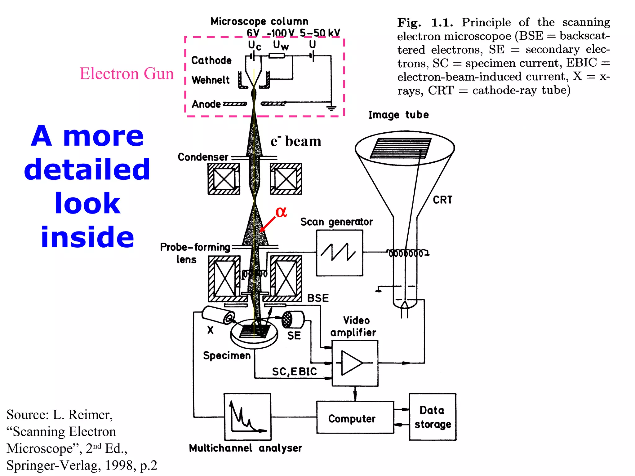 A more
detailed
look
inside
Source: L. Reimer,
“Scanning Electron
Microscope”, 2nd
Ed.,
Springer-Verlag, 1998, p.2
Electron Gun
e-
beam
α
 