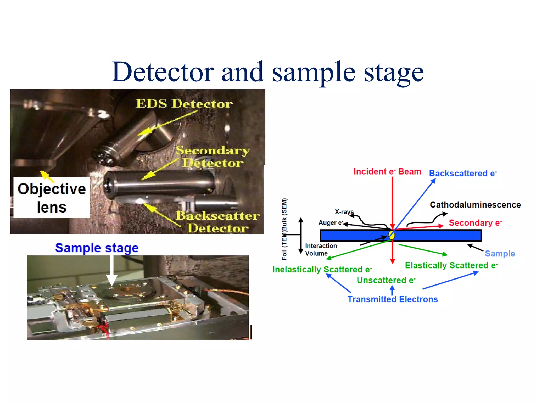 Detector and sample stage
 