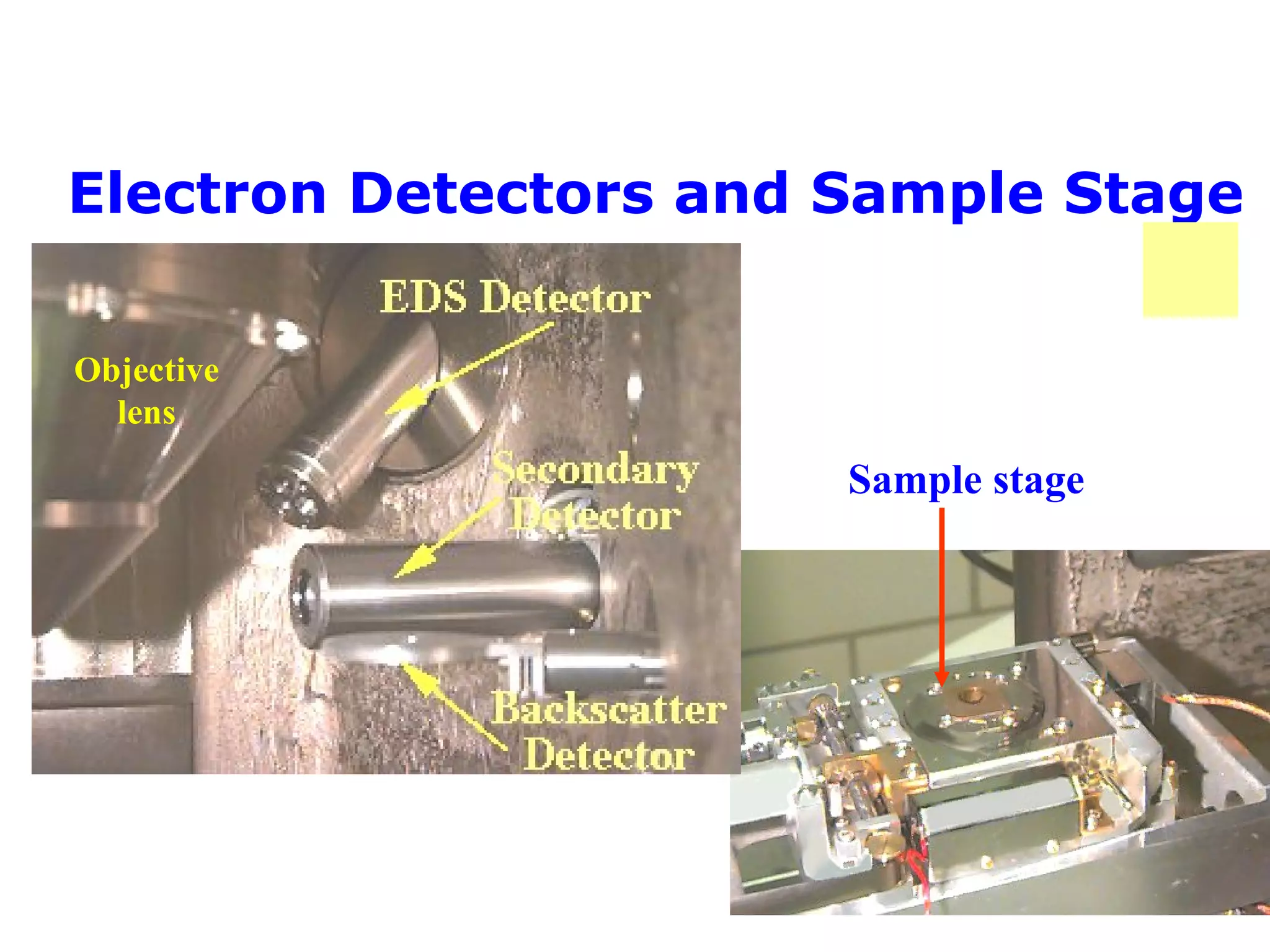 Electron Detectors and Sample Stage
Objective
lens
Sample stage
 