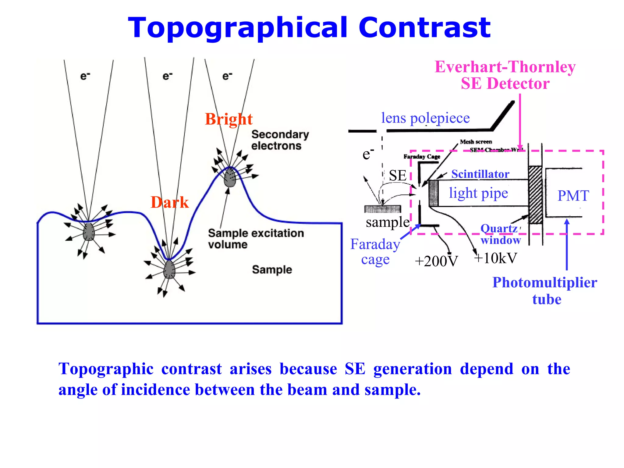 Topographical Contrast
Topographic contrast arises because SE generation depend on the
angle of incidence between the beam and sample.
Bright
Dark
+200V
e-
lens polepiece
SE
sample
Everhart-Thornley
SE Detector
Scintillator
light pipe
Quartz
window
+10kV
Faraday
cage
Photomultiplier
tube
PMT
 