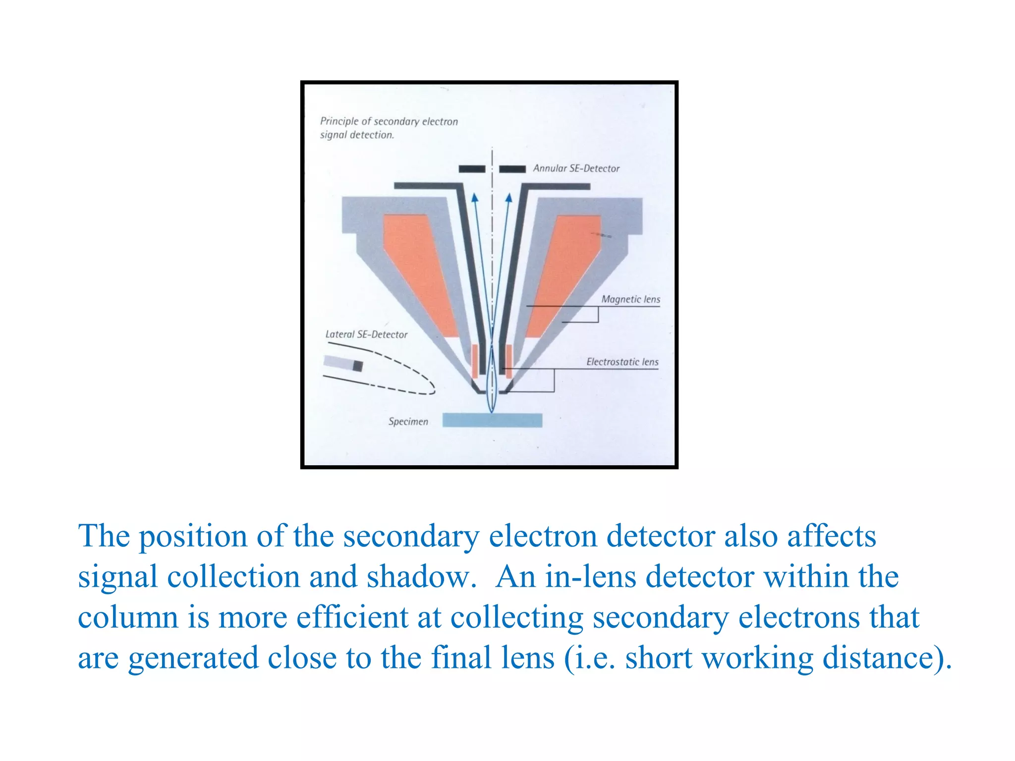 The position of the secondary electron detector also affects
signal collection and shadow. An in-lens detector within the
column is more efficient at collecting secondary electrons that
are generated close to the final lens (i.e. short working distance).
 