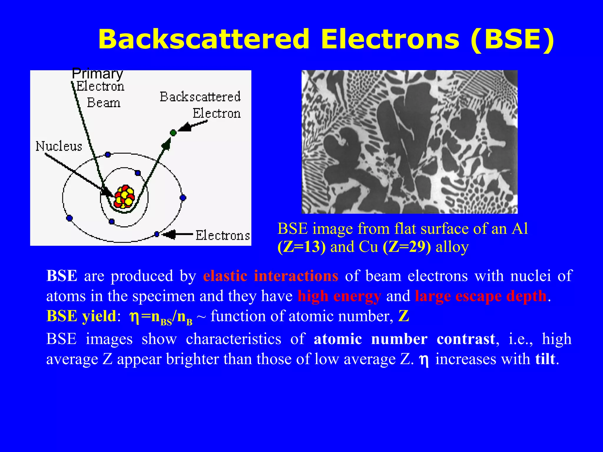 Backscattered Electrons (BSE)
BSE are produced by elastic interactions of beam electrons with nuclei of
atoms in the specimen and they have high energy and large escape depth.
BSE yield: η=nBS/nB ~ function of atomic number, Z
BSE images show characteristics of atomic number contrast, i.e., high
average Z appear brighter than those of low average Z. η increases with tilt.
Primary
BSE image from flat surface of an Al
(Z=13) and Cu (Z=29) alloy
 