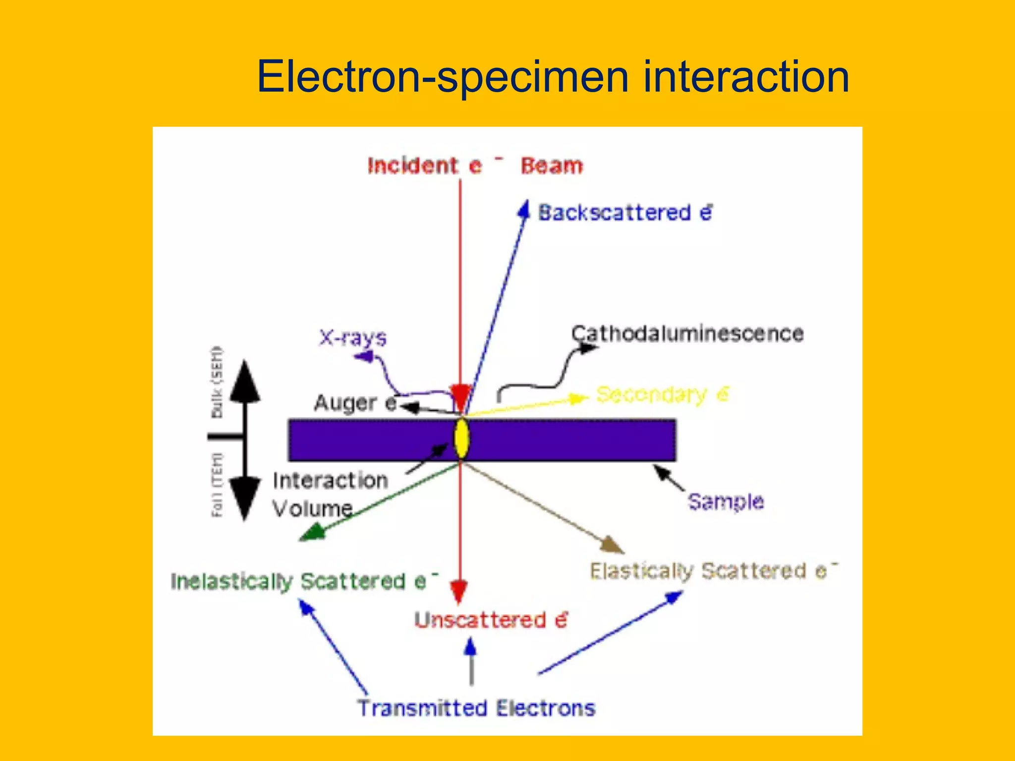 Electron-specimen interaction
 